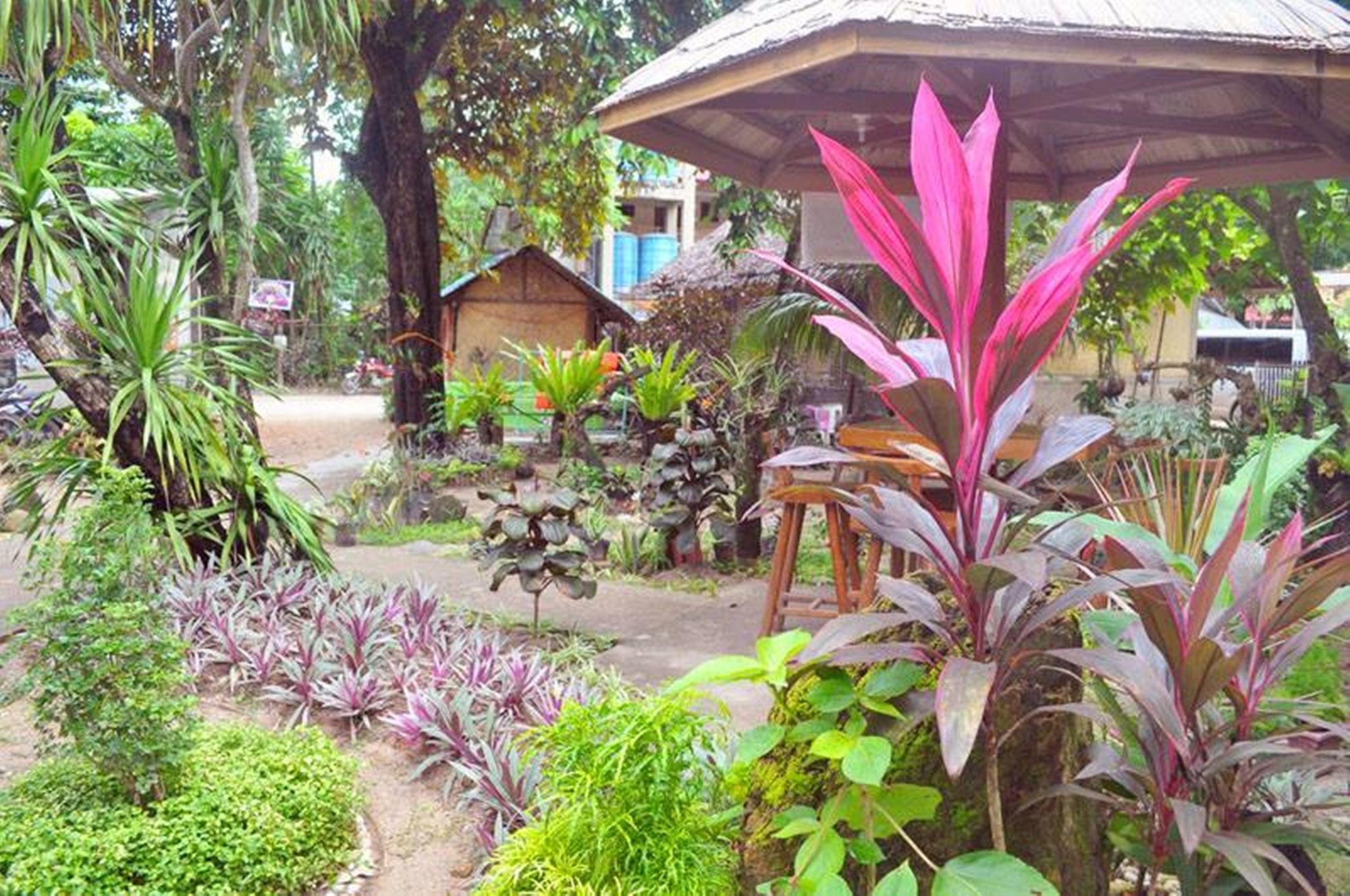 Peak House Garden Pension El Nido Exterior foto